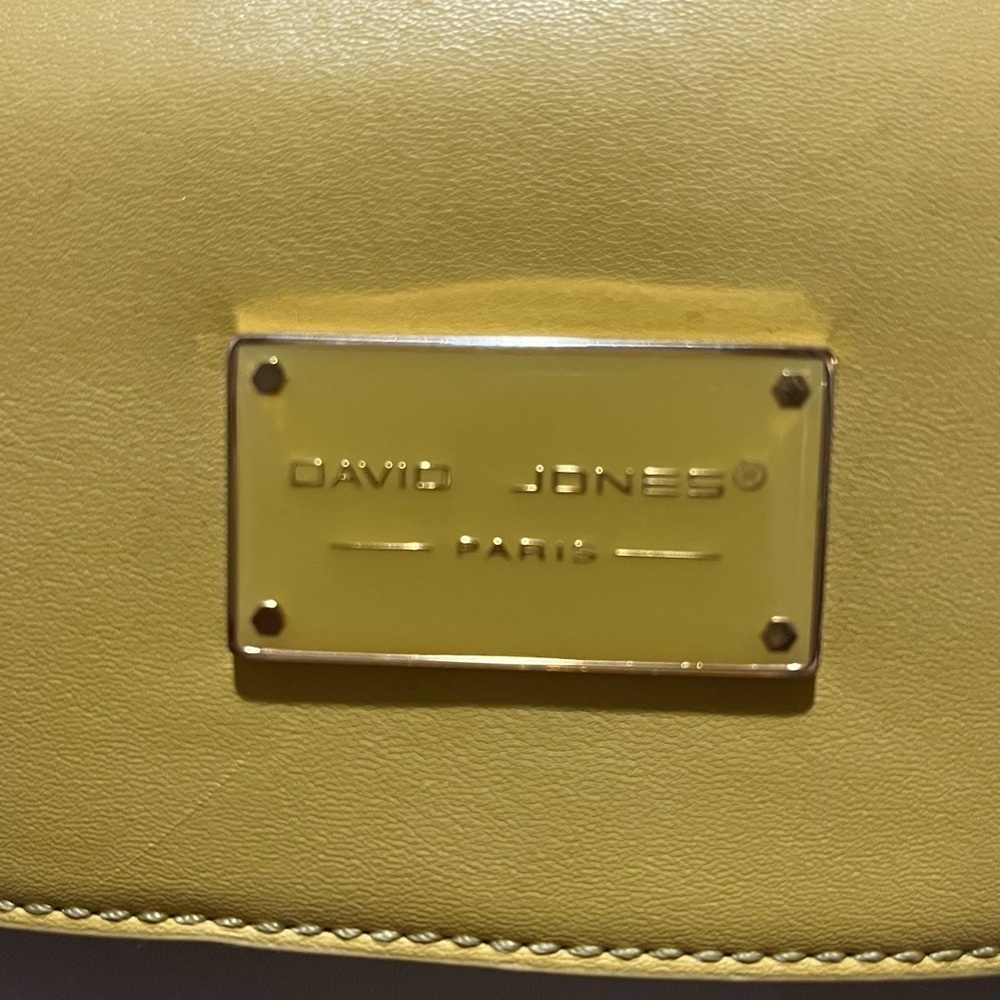 David Jones Paris Yellow and Cream Women's Bag - Picture 12 of 14
